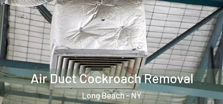 Air Duct Cockroach Removal Long Beach - NY