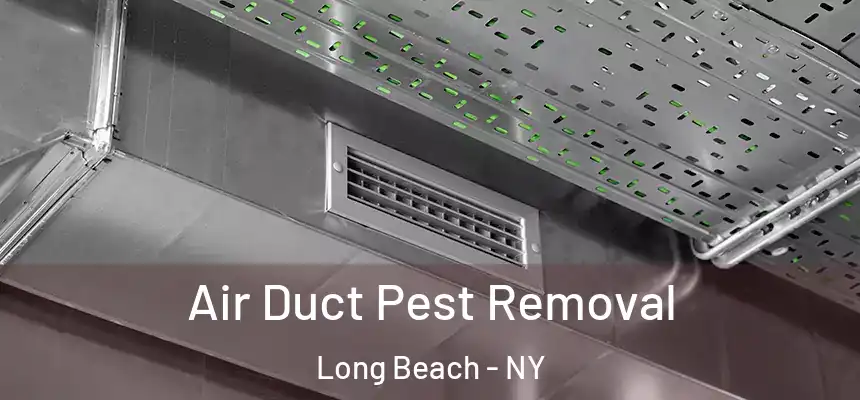 Air Duct Pest Removal Long Beach - NY