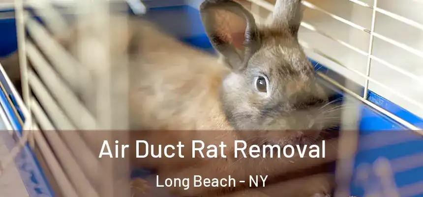 Air Duct Rat Removal Long Beach - NY
