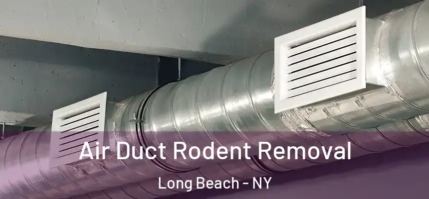 Air Duct Rodent Removal Long Beach - NY