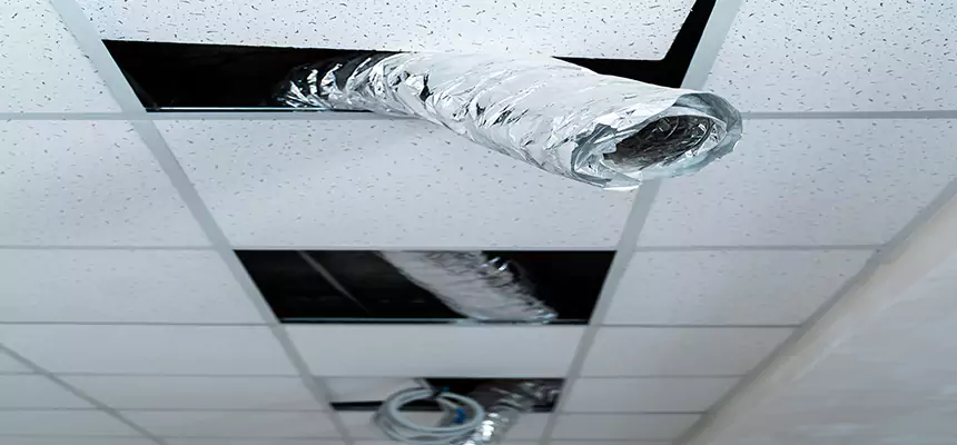 Our Air Duct Pet Hair Removal Services in Long Beach, NY