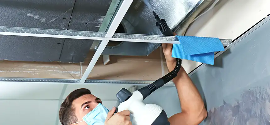 Our Air Duct Rodent Removal Services in Long Beach, NY