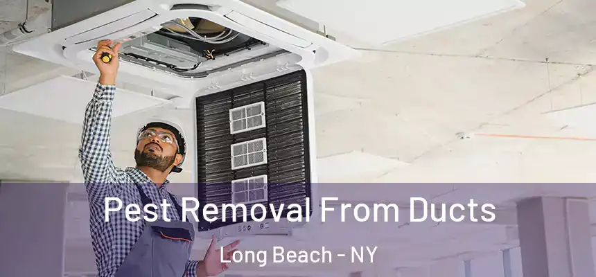  Pest Removal From Ducts Long Beach - NY