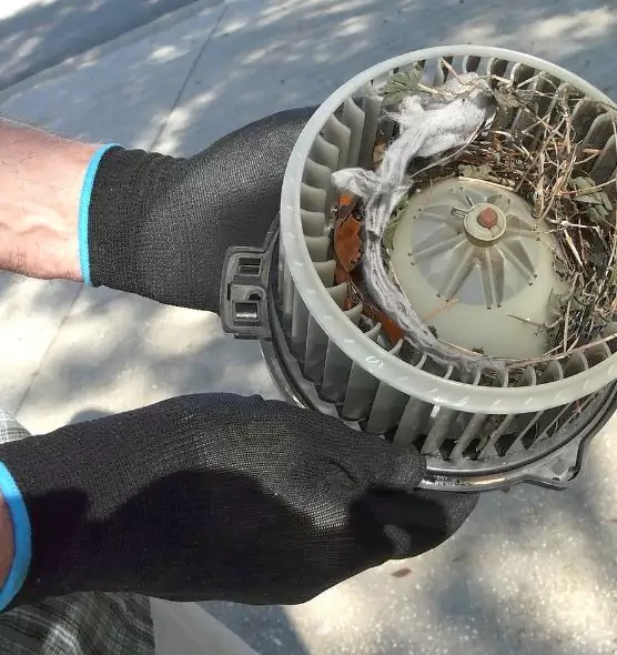 About Air Duct Mice Removal in Long Beach, NY