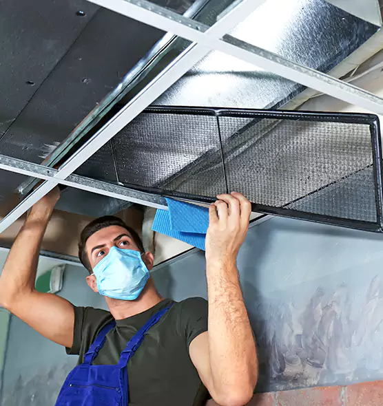 Professional Air Duct Pollen Cleaning in Long Beach, NY