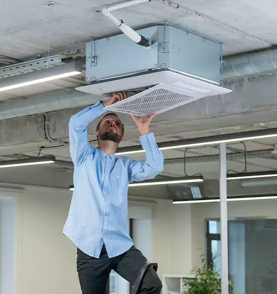 Advanced Rodent Droppings In Vents in Long Beach, NY