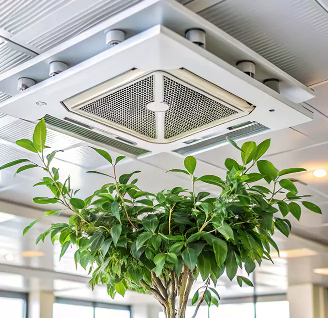 Why Homeowners & Businesses Trust Us in Long Beach, NY?