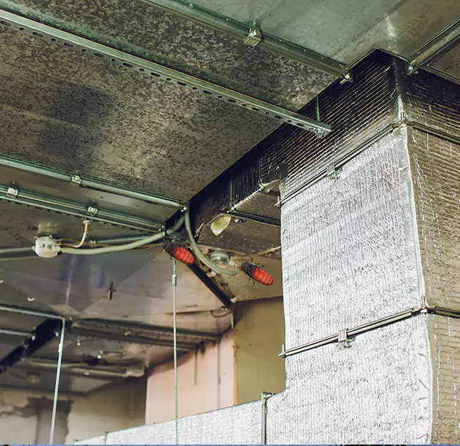 Why Homeowners & Businesses Trust Us Long Beach, NY?